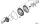 ZF Getriebe TORXSCHRAUBE